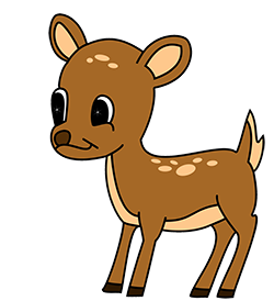 picture of a cute deer